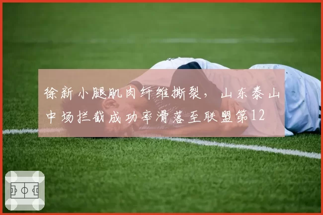 徐新小腿肌肉纤维撕裂,山东泰山中场拦截成功率滑落至联盟第12
