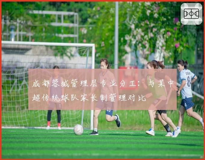成都蓉城管理层专业分工：与某中超传统球队家长制管理对比